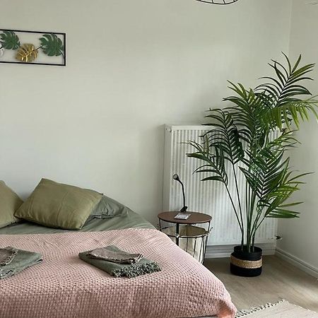 Studio T A 5Mn Euro Airport Avec Terrasse Saint-Louis  Extérieur photo