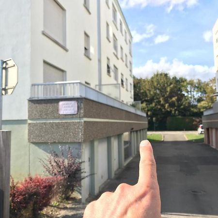 Studio T A 5Mn Euro Airport Avec Terrasse Saint-Louis  Extérieur photo