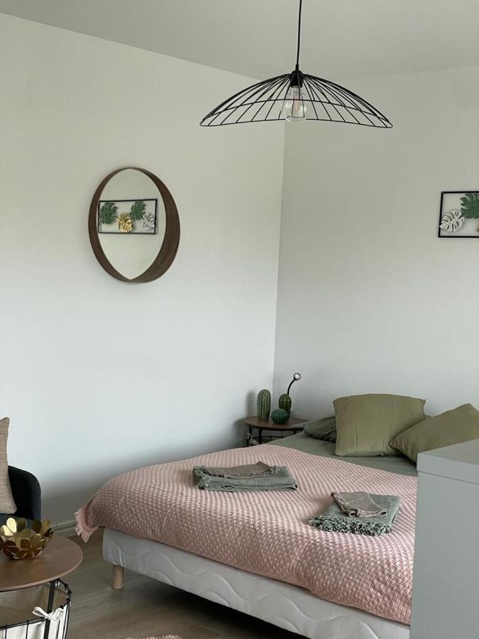 Studio T A 5Mn Euro Airport Avec Terrasse Saint-Louis  Extérieur photo
